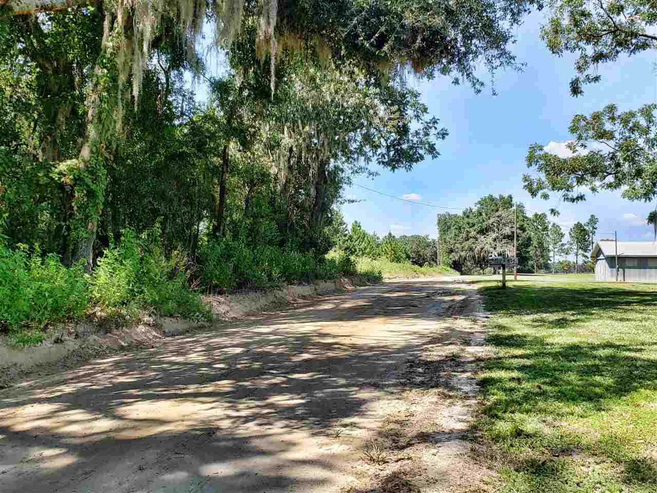 894 Northeast Oak Hill Road Pinetta, FL 32350 - Photo 13 of 35 Gallery Image 13