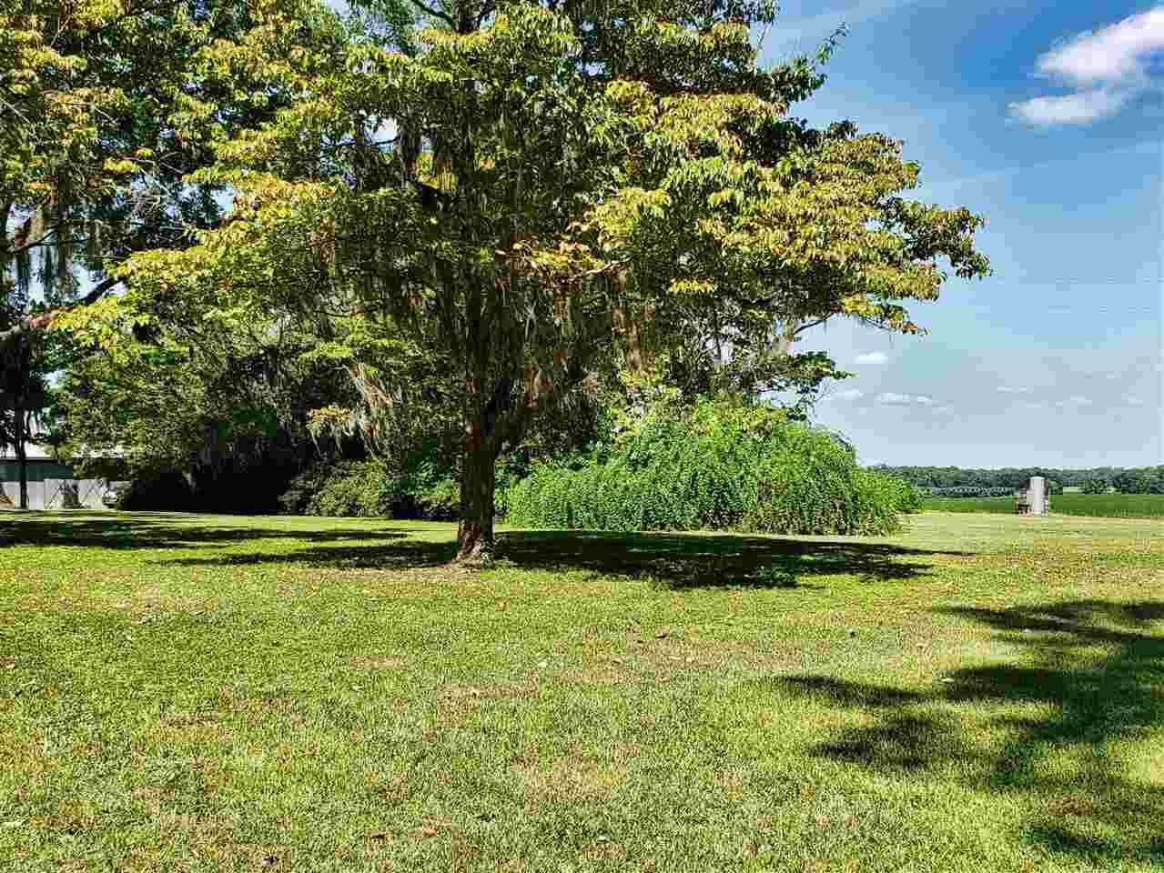 894 Northeast Oak Hill Road Pinetta, FL 32350 - Photo 2 of 35 Gallery Image 2