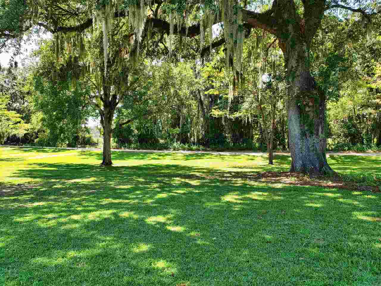 894 Northeast Oak Hill Road Pinetta, FL 32350 - Photo 21 of 35 Gallery Image 21