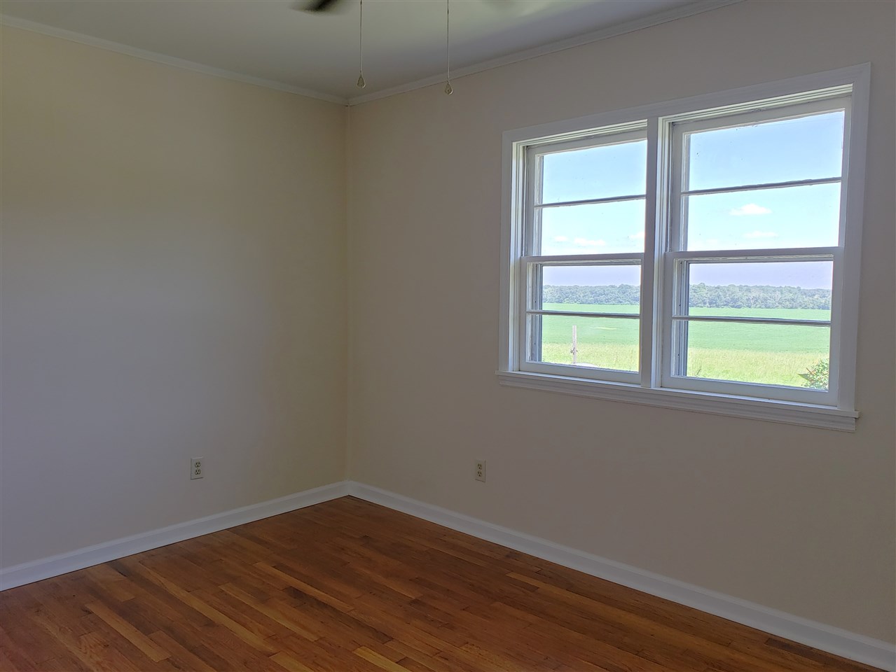 894 Northeast Oak Hill Road Pinetta, FL 32350 - Photo 24 of 35 Gallery Image 24