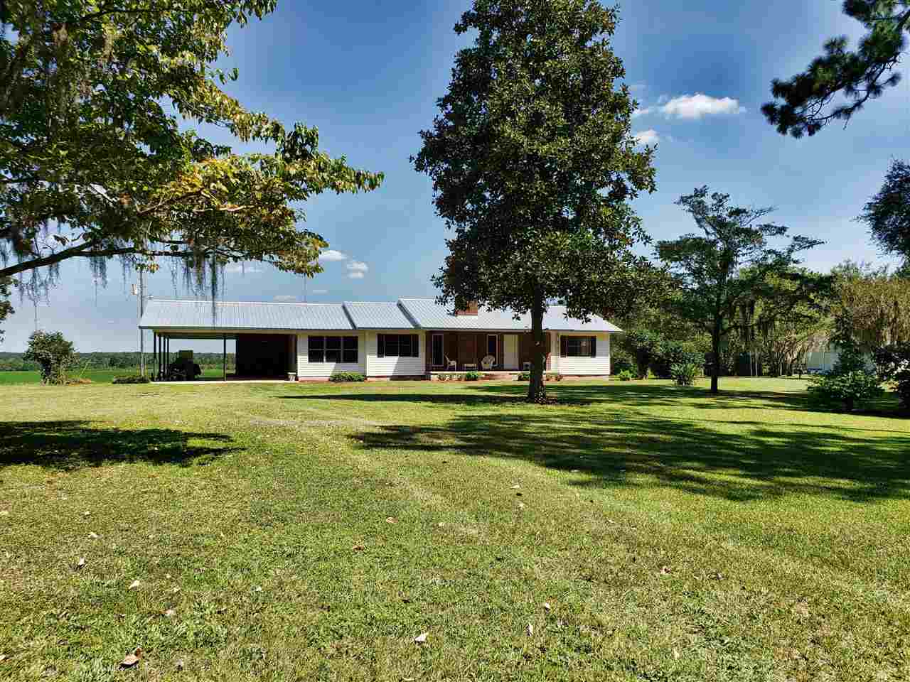 894 Northeast Oak Hill Road Pinetta, FL 32350 - Photo 3 of 35 Gallery Image 3