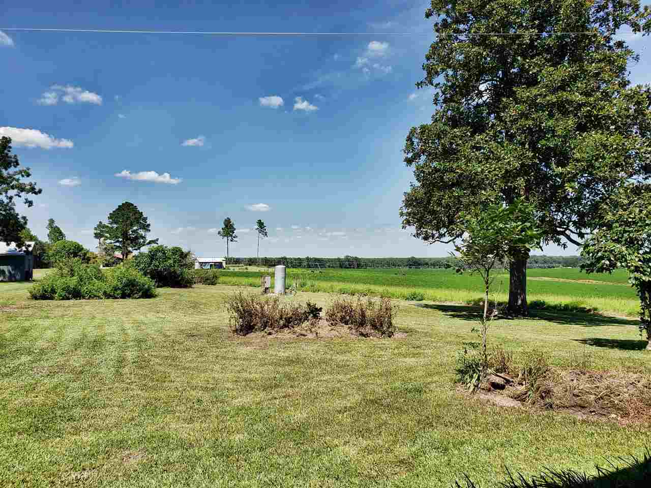 894 Northeast Oak Hill Road Pinetta, FL 32350 - Photo 31 of 35 Gallery Image 31