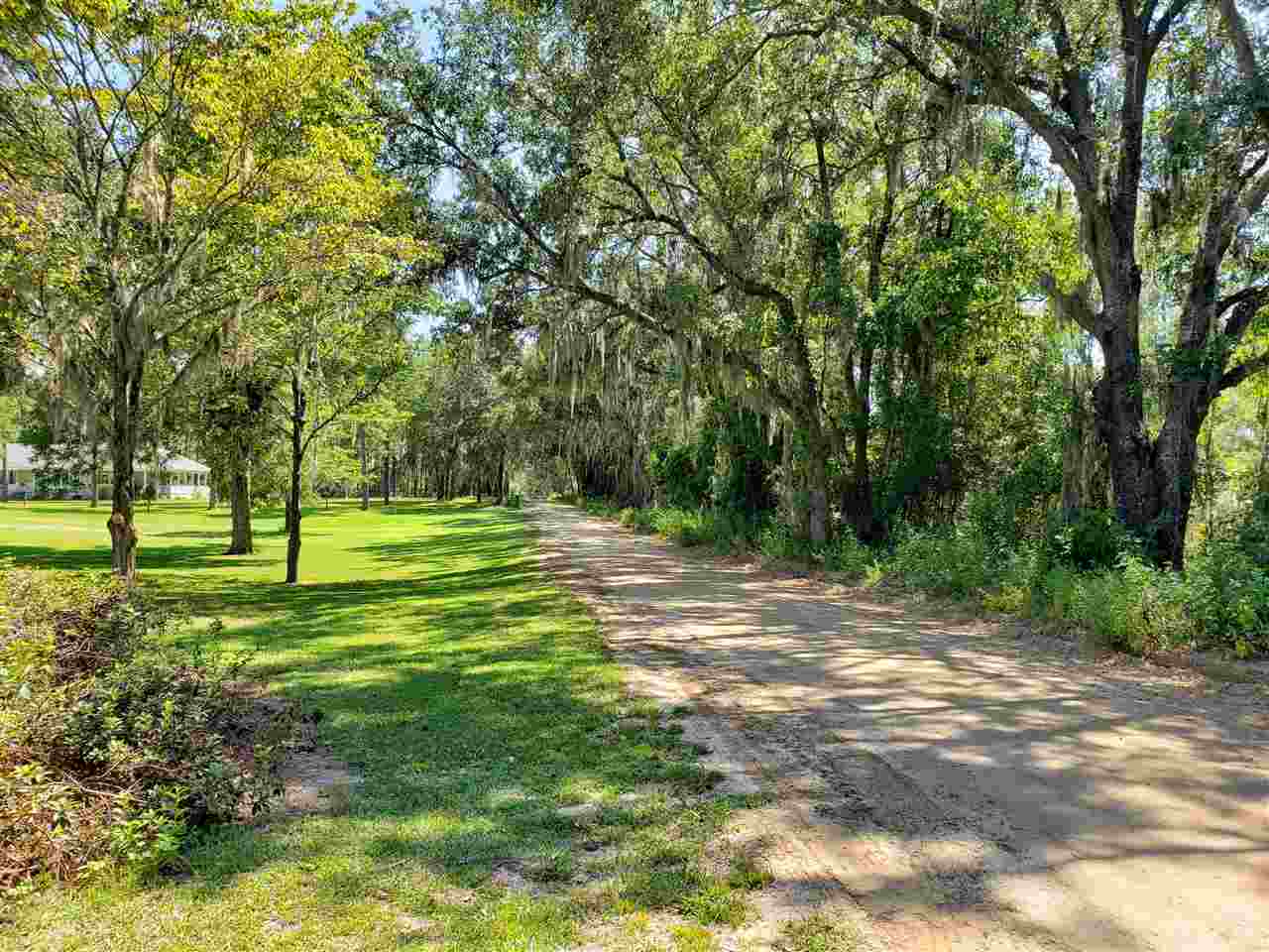 894 Northeast Oak Hill Road Pinetta, FL 32350 - Photo 34 of 35 Gallery Image 34