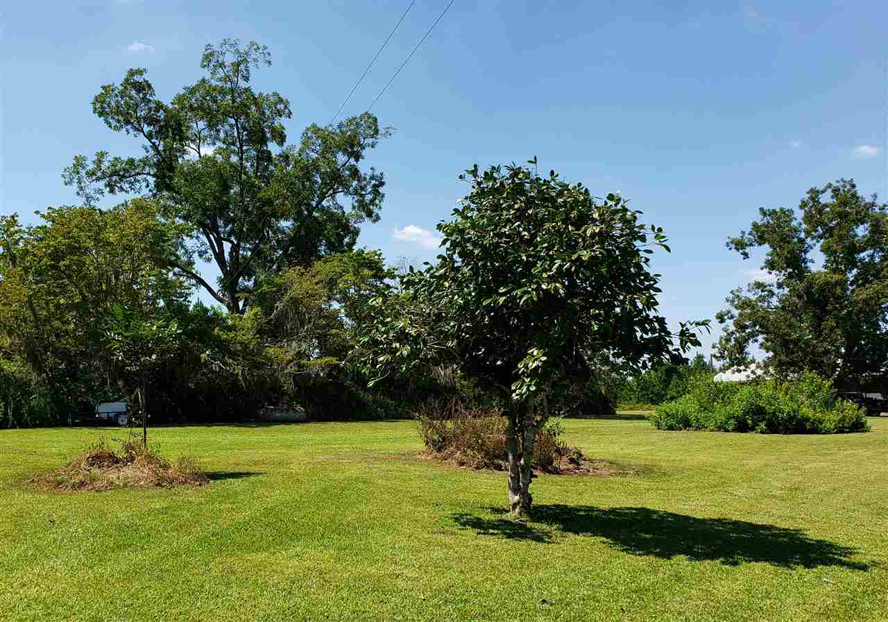 894 Northeast Oak Hill Road Pinetta, FL 32350 - Photo 5 of 35 Gallery Image 5