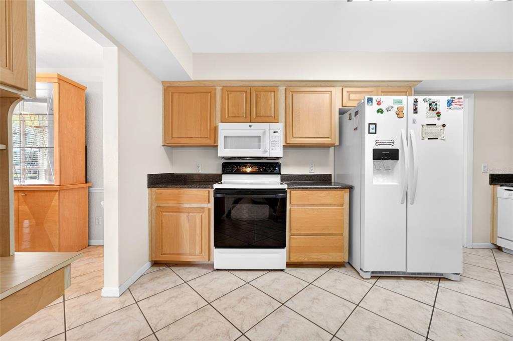 1409 Bryan Road Brandon, FL 33511 - Photo 13 of 73 a kitchen with granite countertop white cabinets and stainless steel appliances