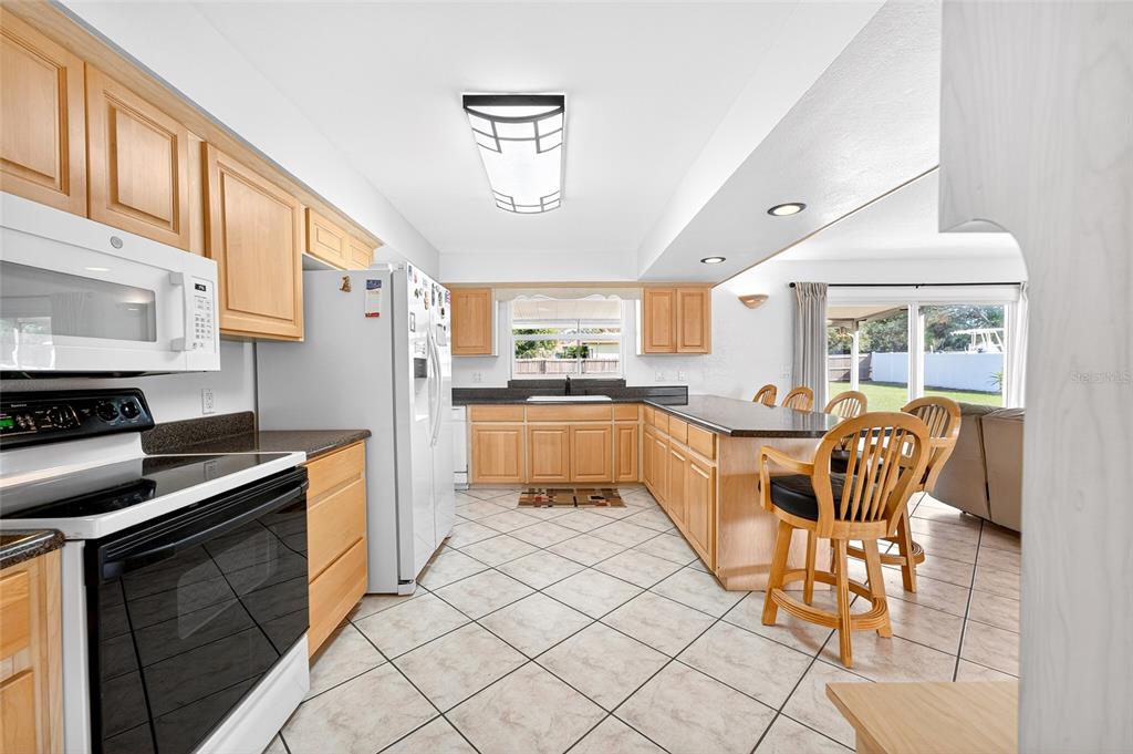 1409 Bryan Road Brandon, FL 33511 - Photo 10 of 73