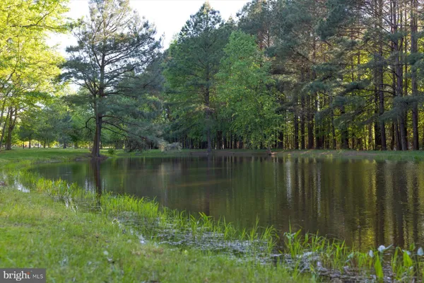 $6,495,000 | 24679 Deep Neck Road, Royal Oak, MD 21662