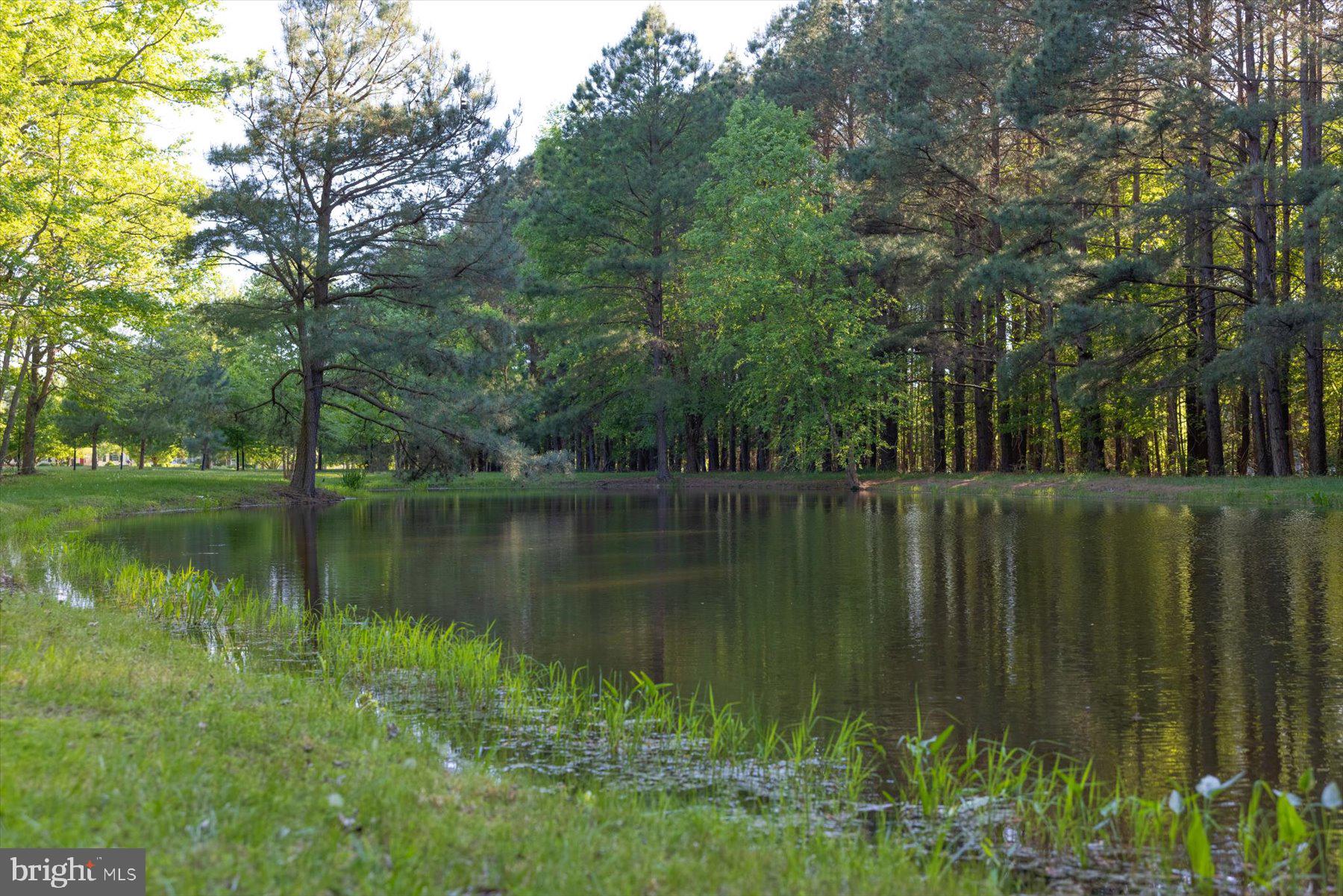 24679 Deep Neck Road Royal Oak, MD 21662 - Photo 69 of 130