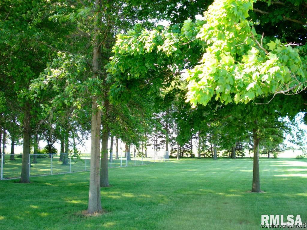 2679 Us Highway Rio, IL 61472 - Photo 15 of 36 Gallery Image 15