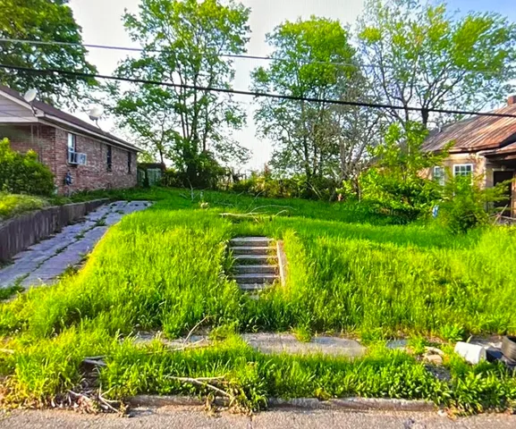 a view of a garden with a fountain