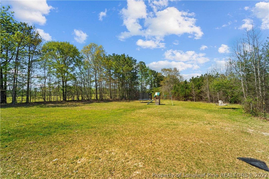 300 Lemuel Black Road Bunnlevel, NC 28323 - Photo 36 of 39 Gallery Image 36