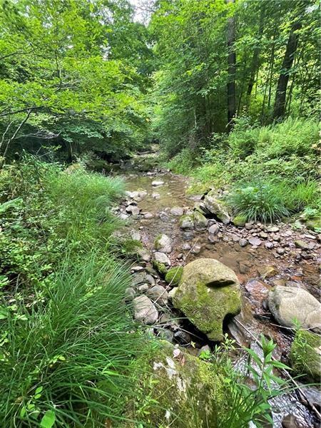 0 Greenlee Road Polk, PA 16342 - Photo 3 of 5 a backyard of a house with lots of green space