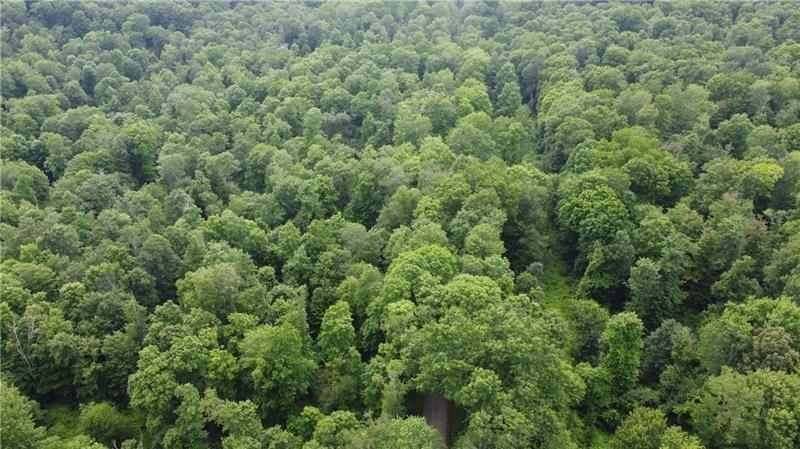 0 Greenlee Road Polk, PA 16342 - Photo 4 of 5 an aerial view of residential house with outdoor space and trees all around