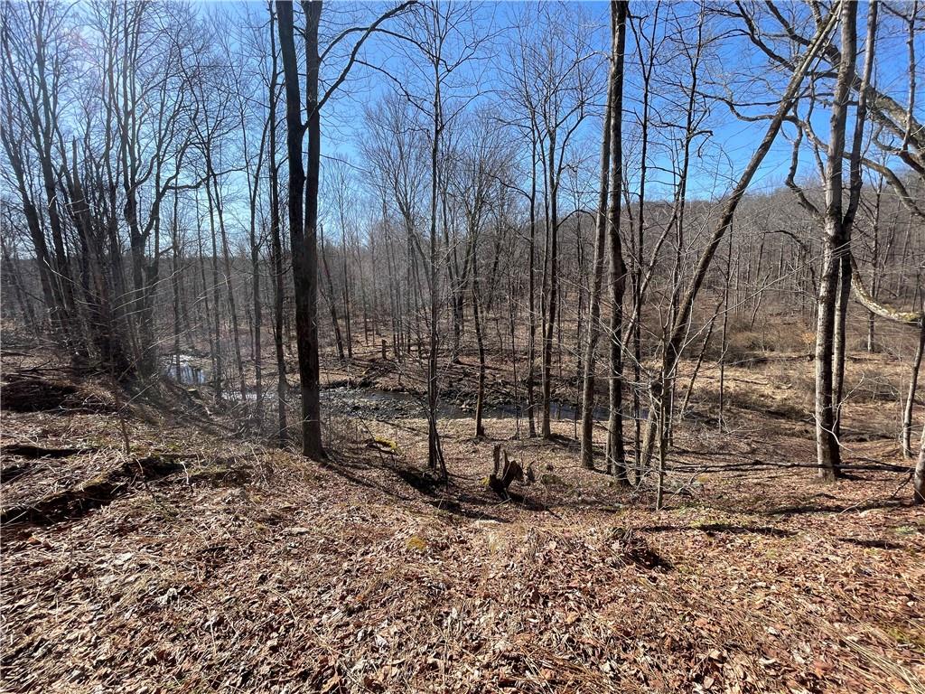 0 Greenlee Road Polk, PA 16342 - Photo 5 of 5 a view of a backyard with large trees