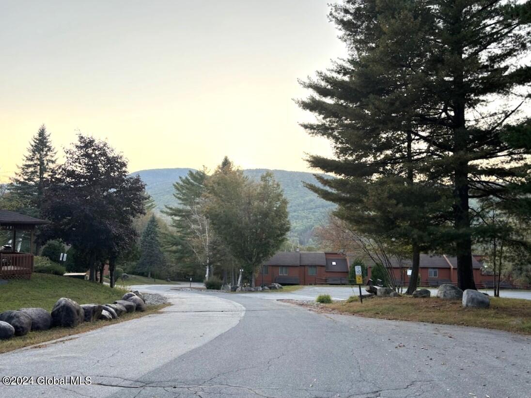 10 Summit Ridge, Unit M Johnsburg, NY 12853 - Photo 26 of 26 IMG_5833