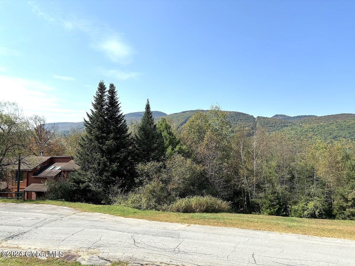 10 Summit Ridge, Unit M Johnsburg, NY 12853 - Photo 7 of 26 IMG_5704