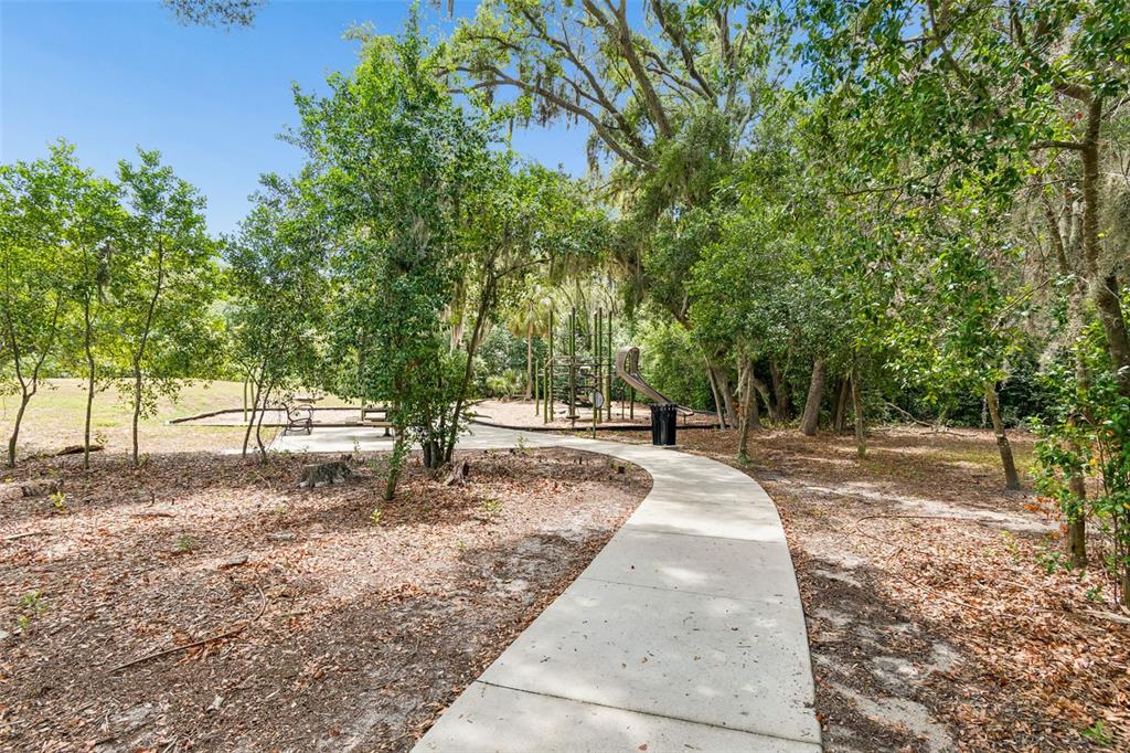 6065 Spring Crayfish Avenue New Port Richey, FL 34653 - Photo 55 of 61
