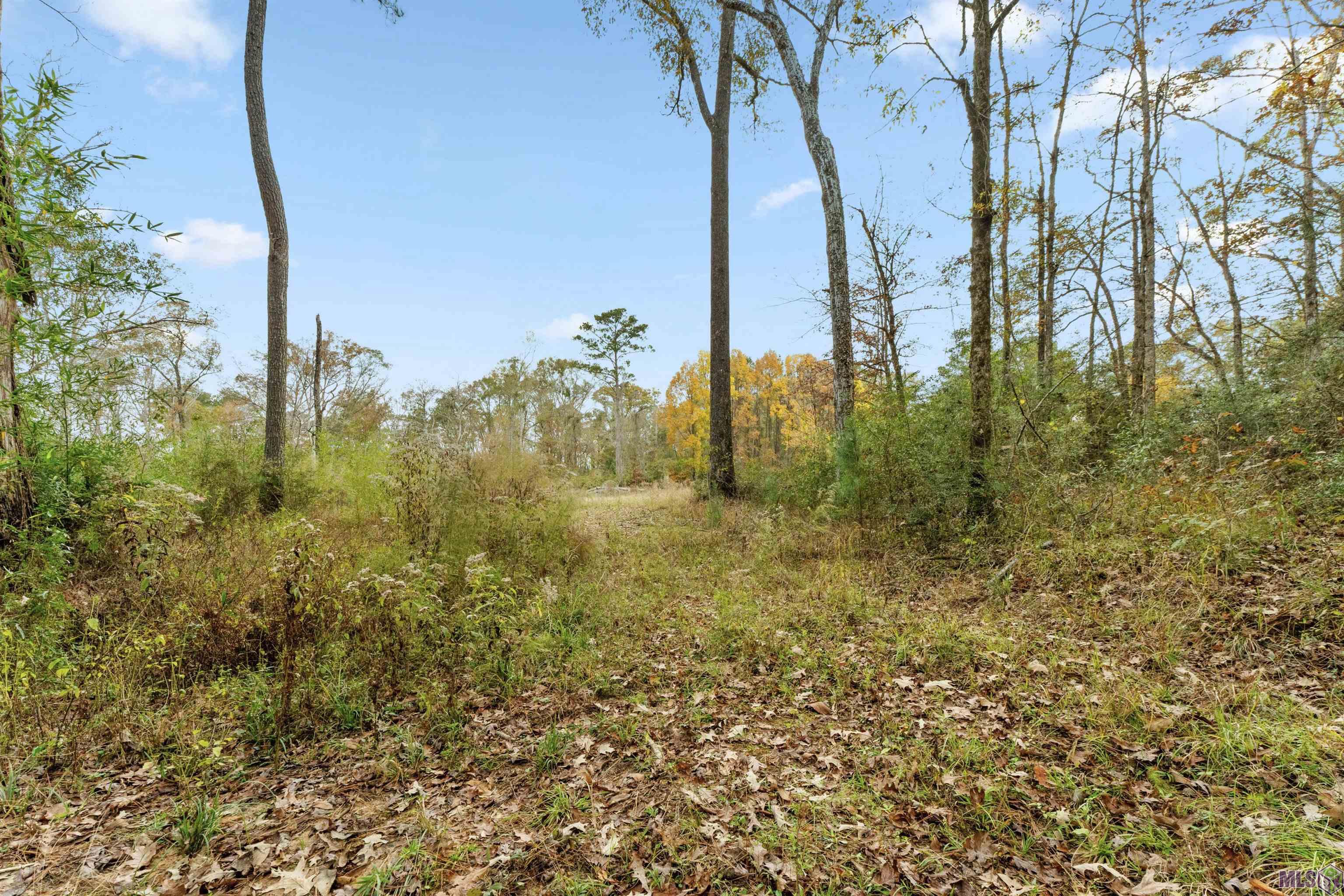 5498 Old Liberty Road North Clinton, LA 70722 - Photo 4 of 21
