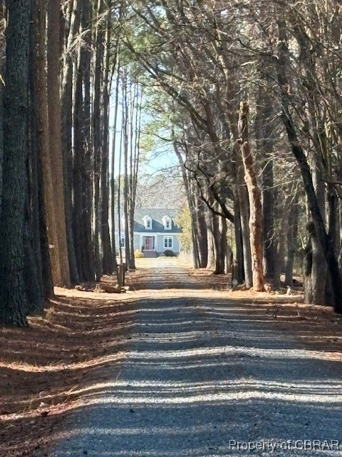 171 Lillys Neck Road Moon, VA 23119 - Photo 3 of 38 View of street featuring driveway
