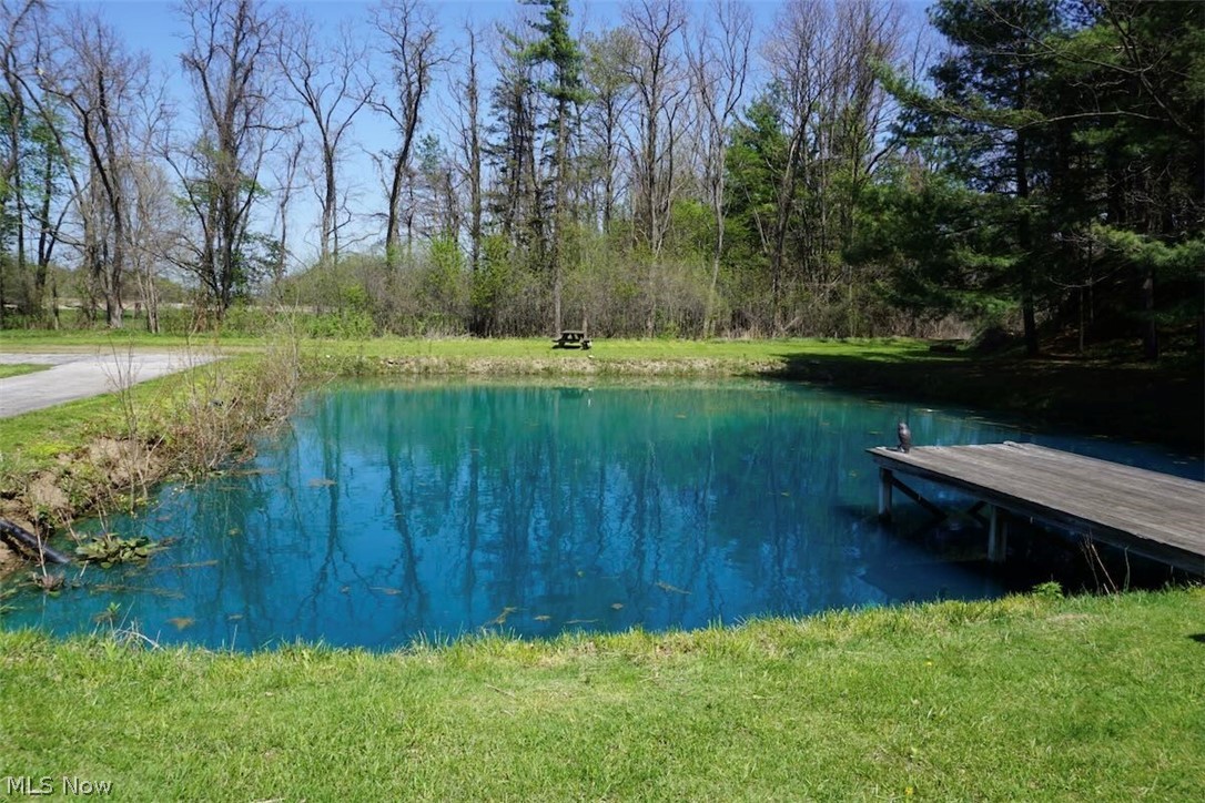 4173 South Ridge Road East Geneva, OH 44041 - Photo 32 of 42 Pond in rear yard