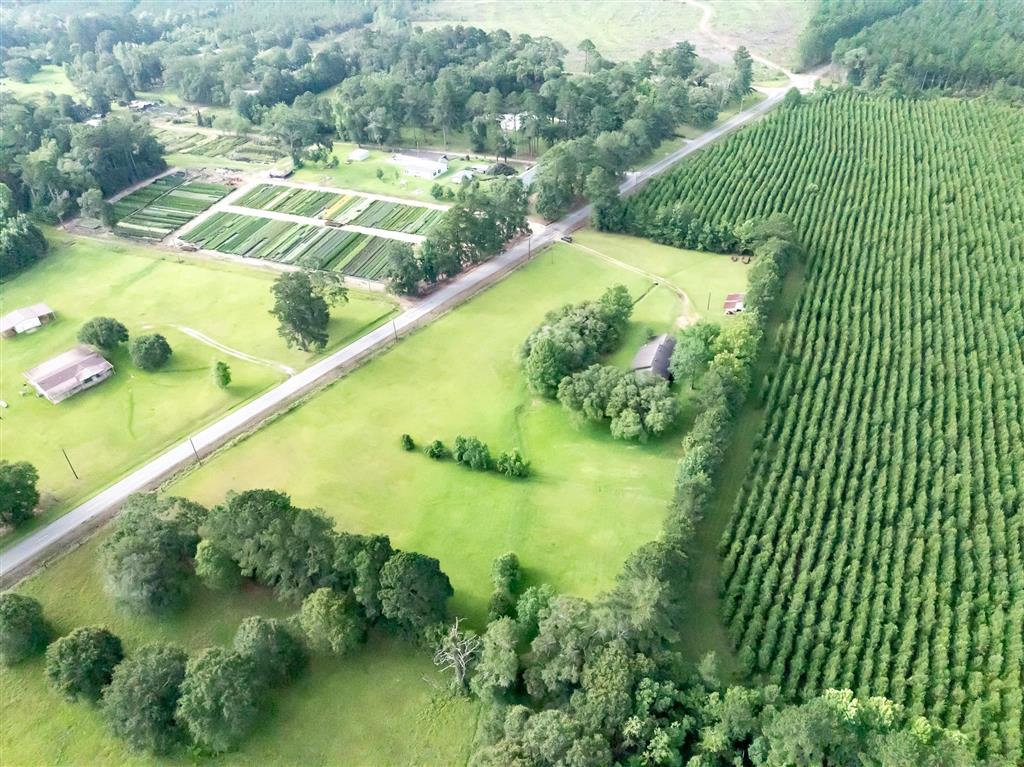 1874 Evangeline Road Glenmora, LA 71433 - Photo 30 of 30