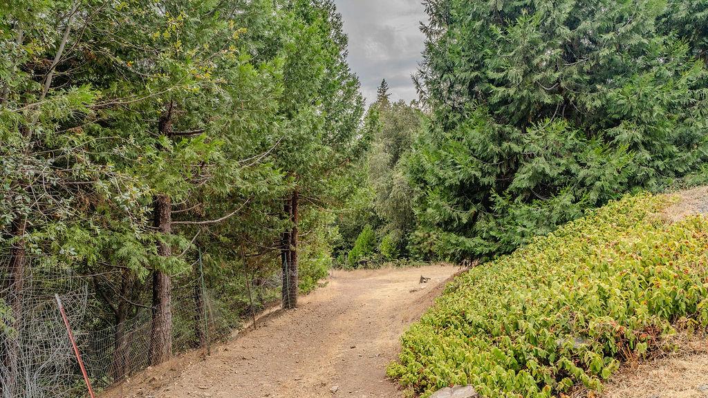 12511 Tabeaud Road Pine Grove, CA 95665 - Photo 53 of 99 Gallery Image 53