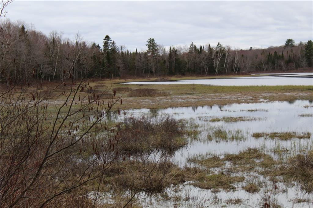 L1 Stream Road Ripley, ME 04930 - Photo 2 of 5 Incredible wildlife habitat
