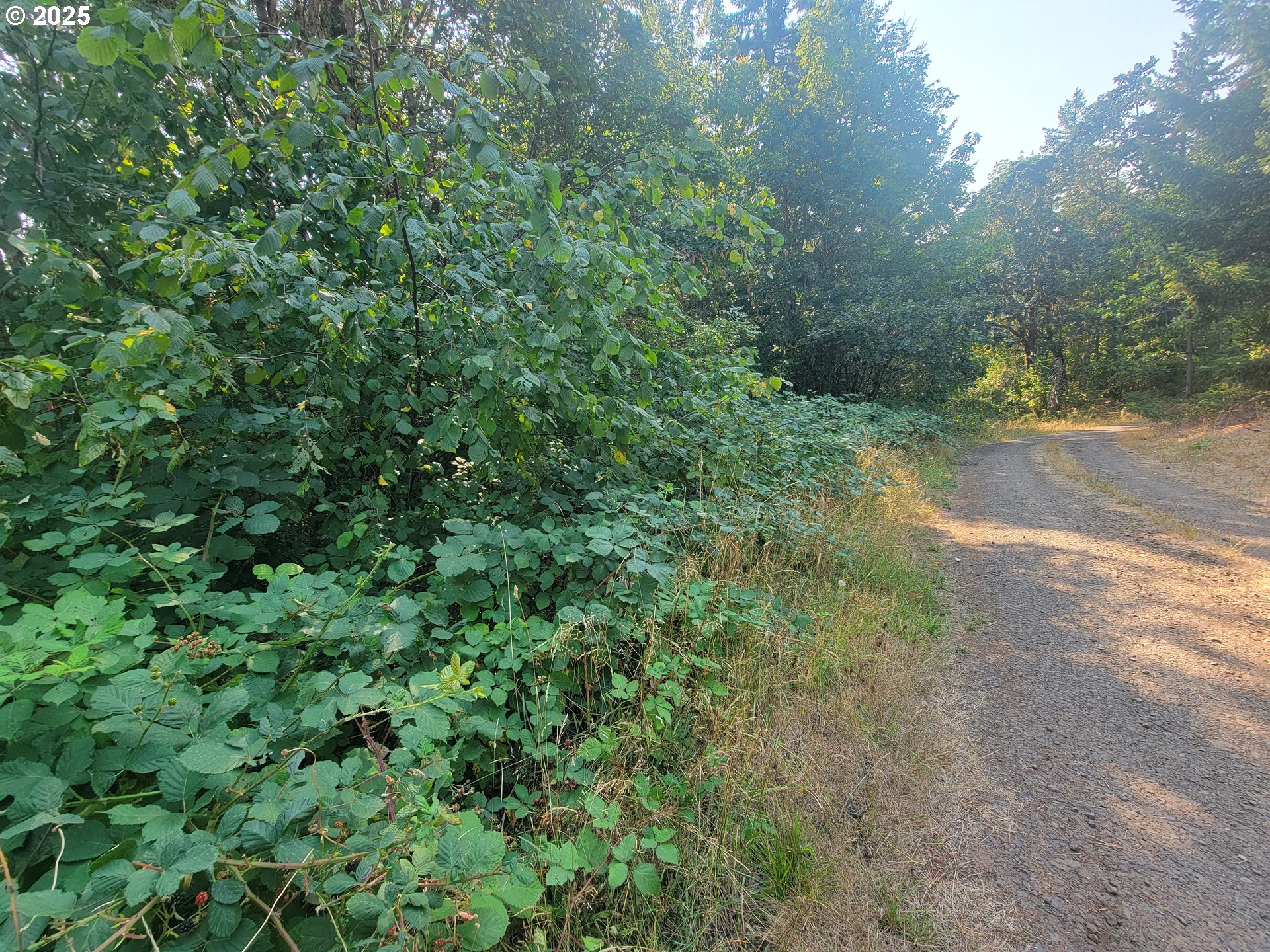 0 Finn Road Sheridan, OR 97378 - Photo 8 of 10