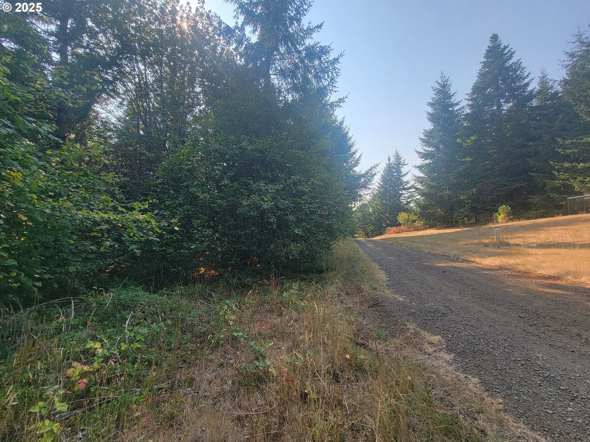 0 Finn Road Sheridan, OR 97378 - Photo 9 of 10 a view of outdoor space and yard