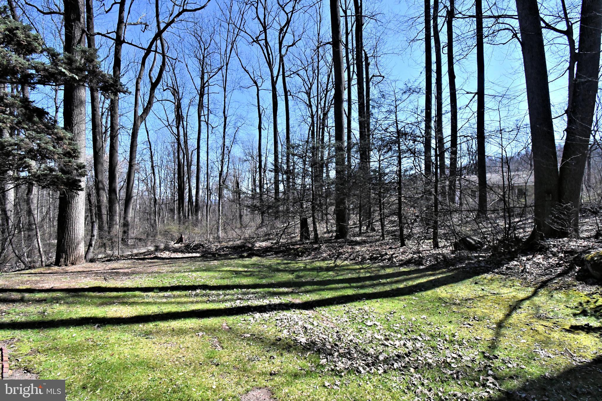 306 Cedar Hill Road Birdsboro, PA 19508 - Photo 74 of 77