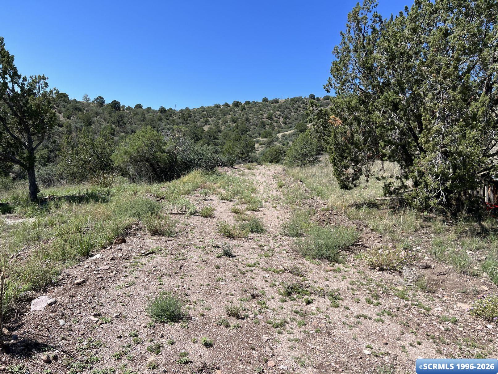 96 San Thomas Road Mimbres, NM 88049 - Photo 5 of 19 Gallery Image 5