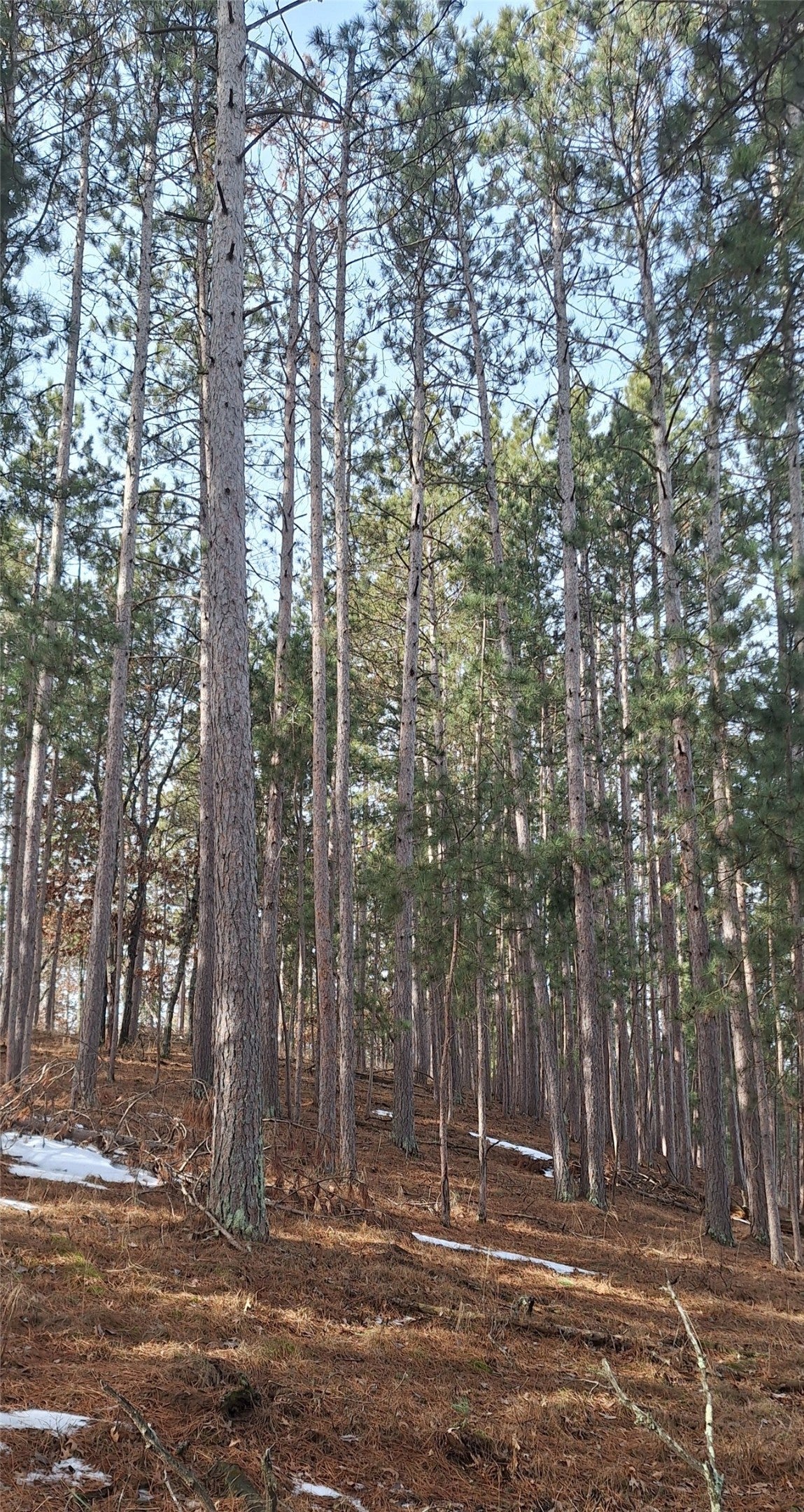 Lot 4 Big Sand Road Minong, WI 54859 - Photo 13 of 38 Gallery Image 13