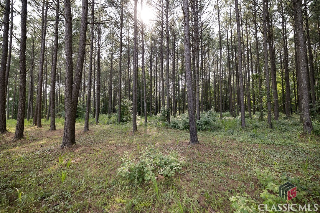 0 Waggoners Grove Church Road Colbert, GA 30628 - Photo 2 of 13