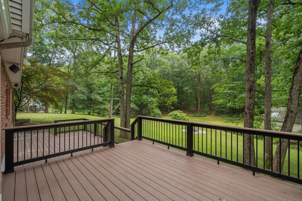 298 Marked Tree Road Needham, MA 02492 - Photo 23 of 29