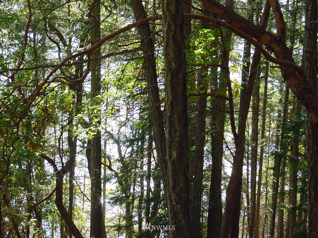 400 Exton Road Orcas Island, WA 98280 - Photo 11 of 13 Gallery Image 11