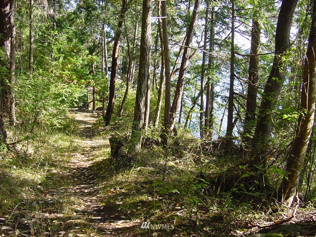 400 Exton Road Orcas Island, WA 98280 - Photo 4 of 13 Gallery Image 4