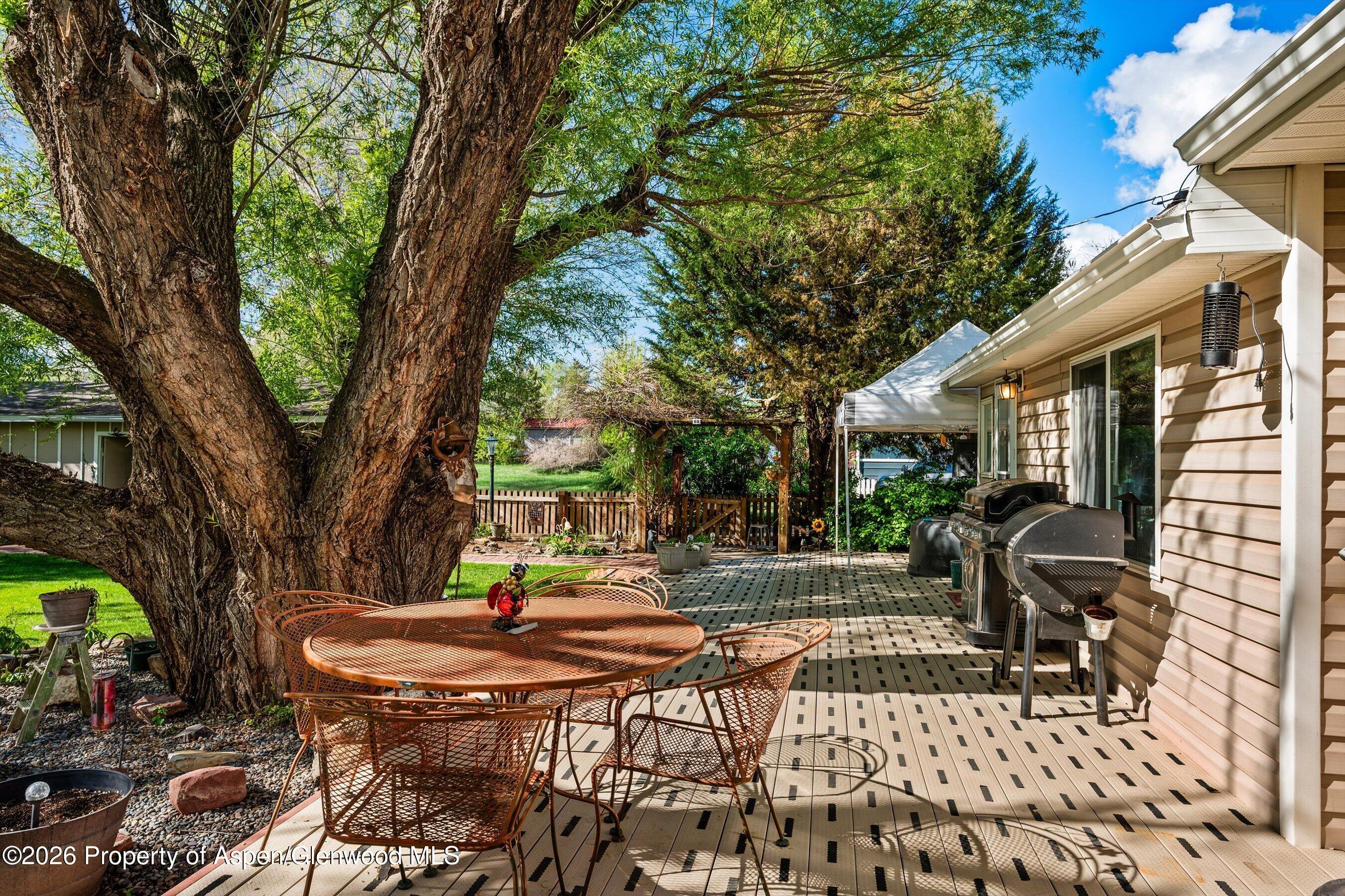 127 Cardinal Way Parachute, CO 81635 - Photo 26 of 41 a view of patio with table and chairs and potted plants