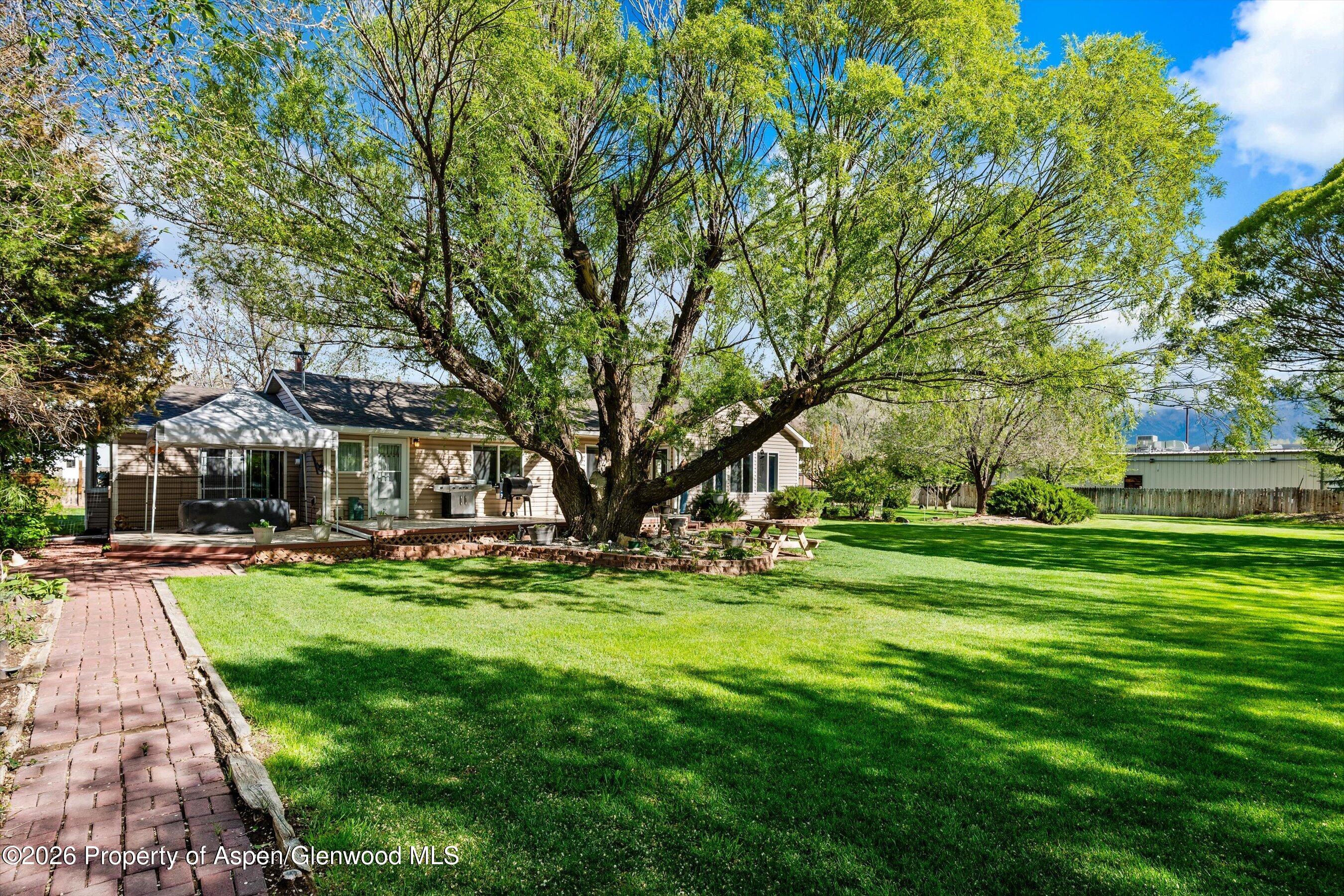127 Cardinal Way Parachute, CO 81635 - Photo 28 of 41 a view of a park with large trees