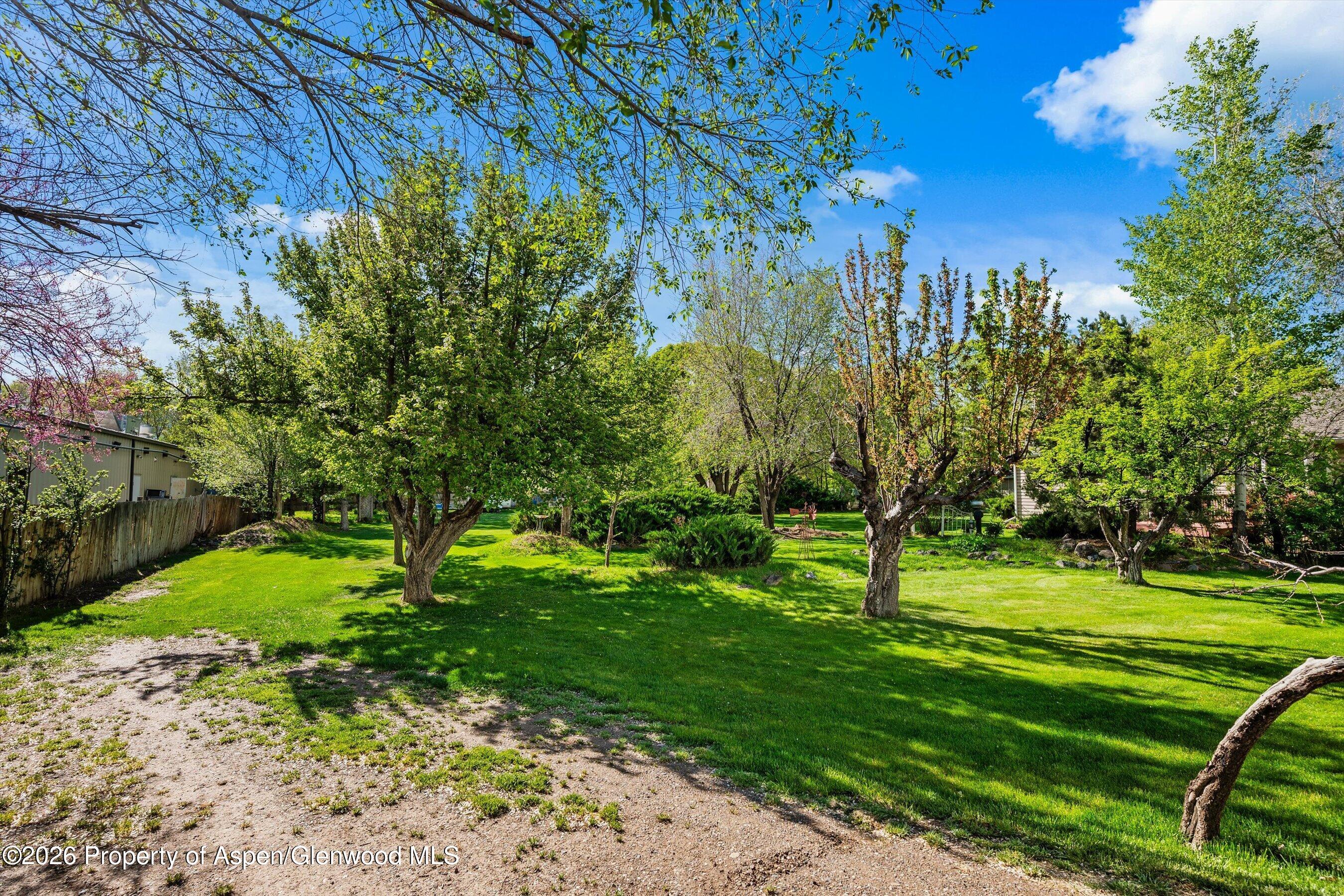 127 Cardinal Way Parachute, CO 81635 - Photo 31 of 41 a view of a golf course with a garden