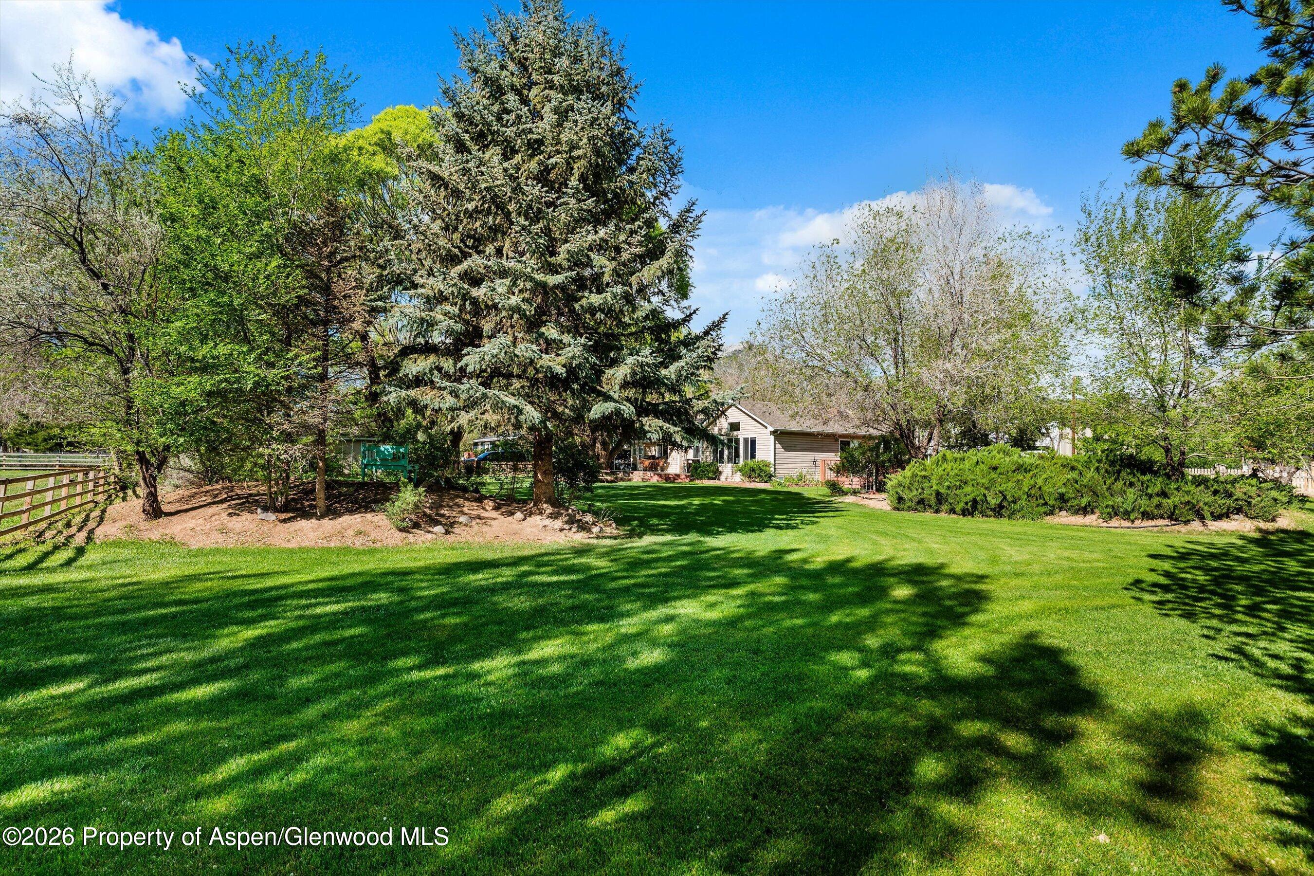 127 Cardinal Way Parachute, CO 81635 - Photo 35 of 41 a view of a park with large trees