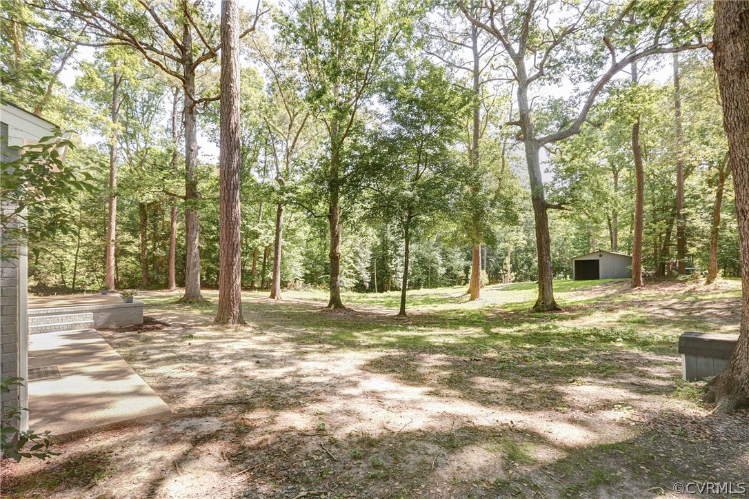 8335 Old Roxbury Road Quinton, VA 23141 - Photo 14 of 36 Back Yard