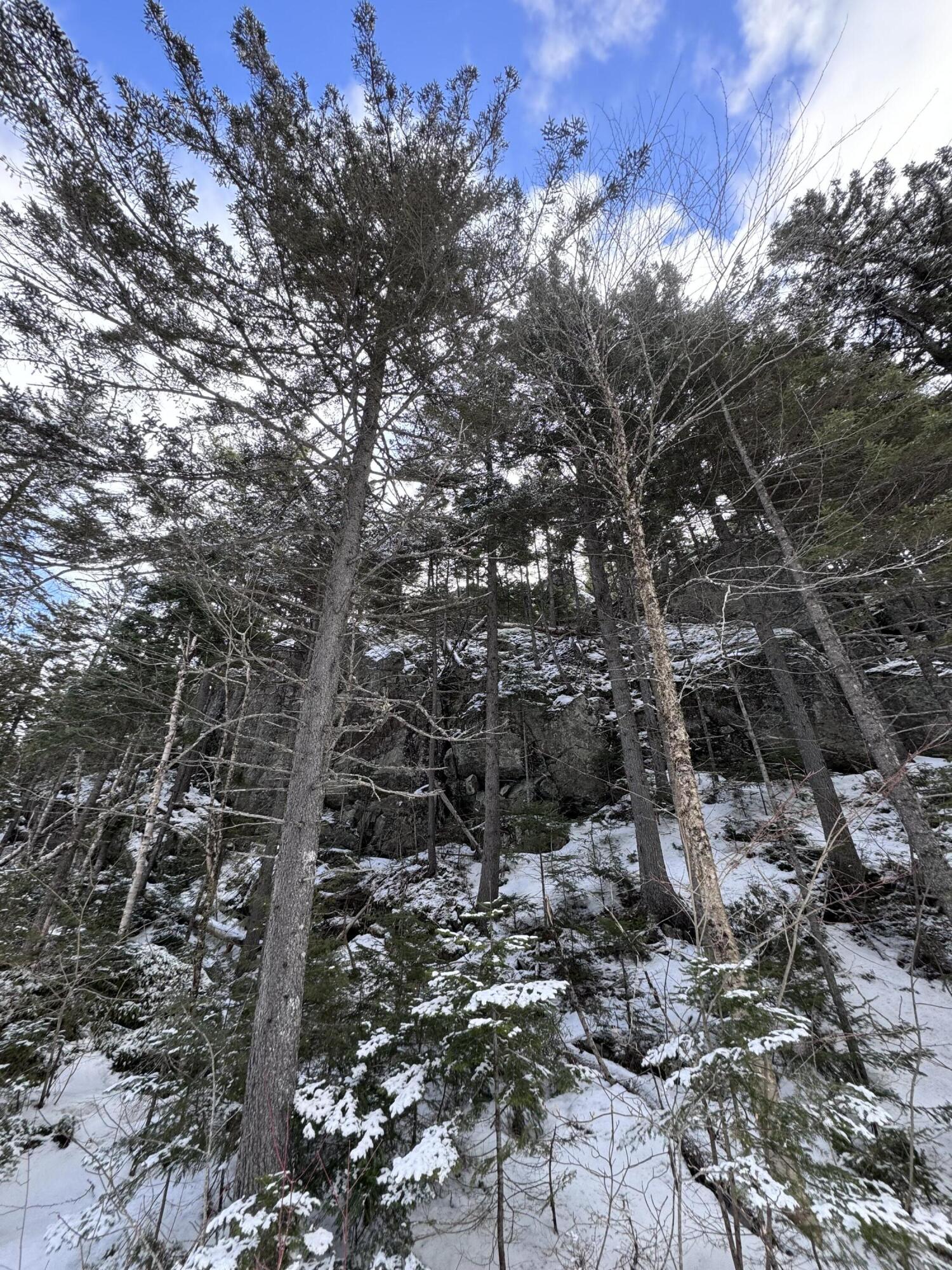 950 Carrying Pl Road New Portland, ME 04961 - Photo 42 of 48