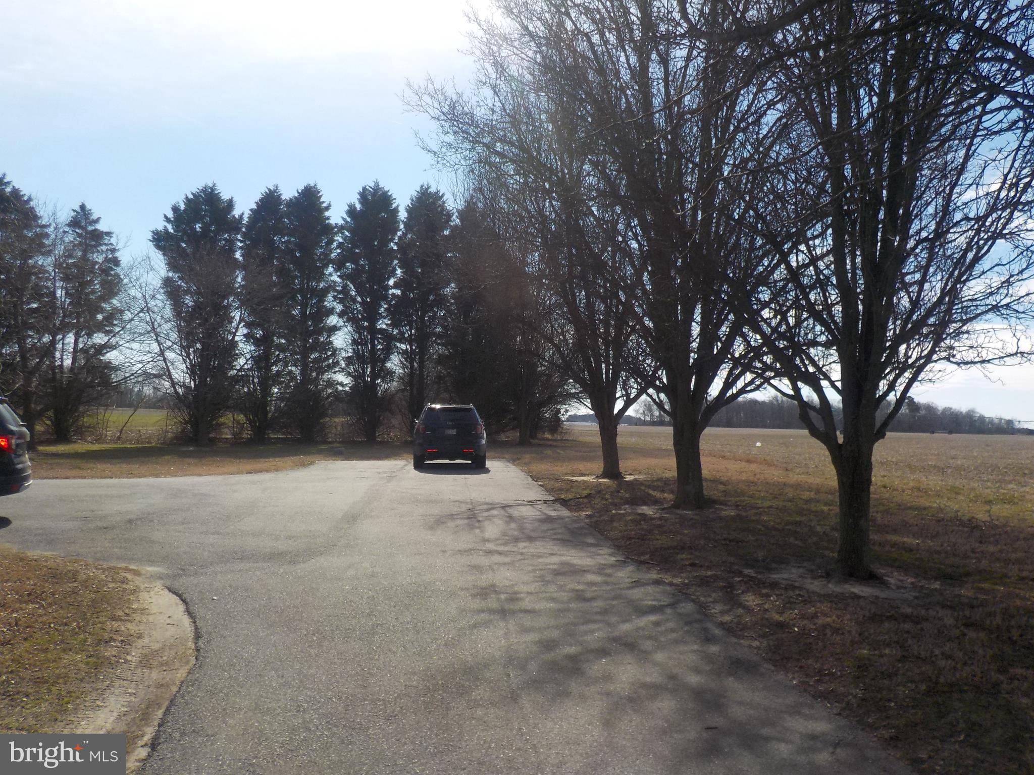 4181 Osborne Road Hurlock, MD 21643 - Photo 32 of 34 Paved drive with extra parking area for boat of RV