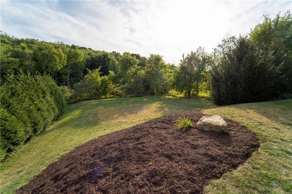 413 Lemmon Road Latrobe, PA 15650 - Photo 21 of 23 Tree lined backyard