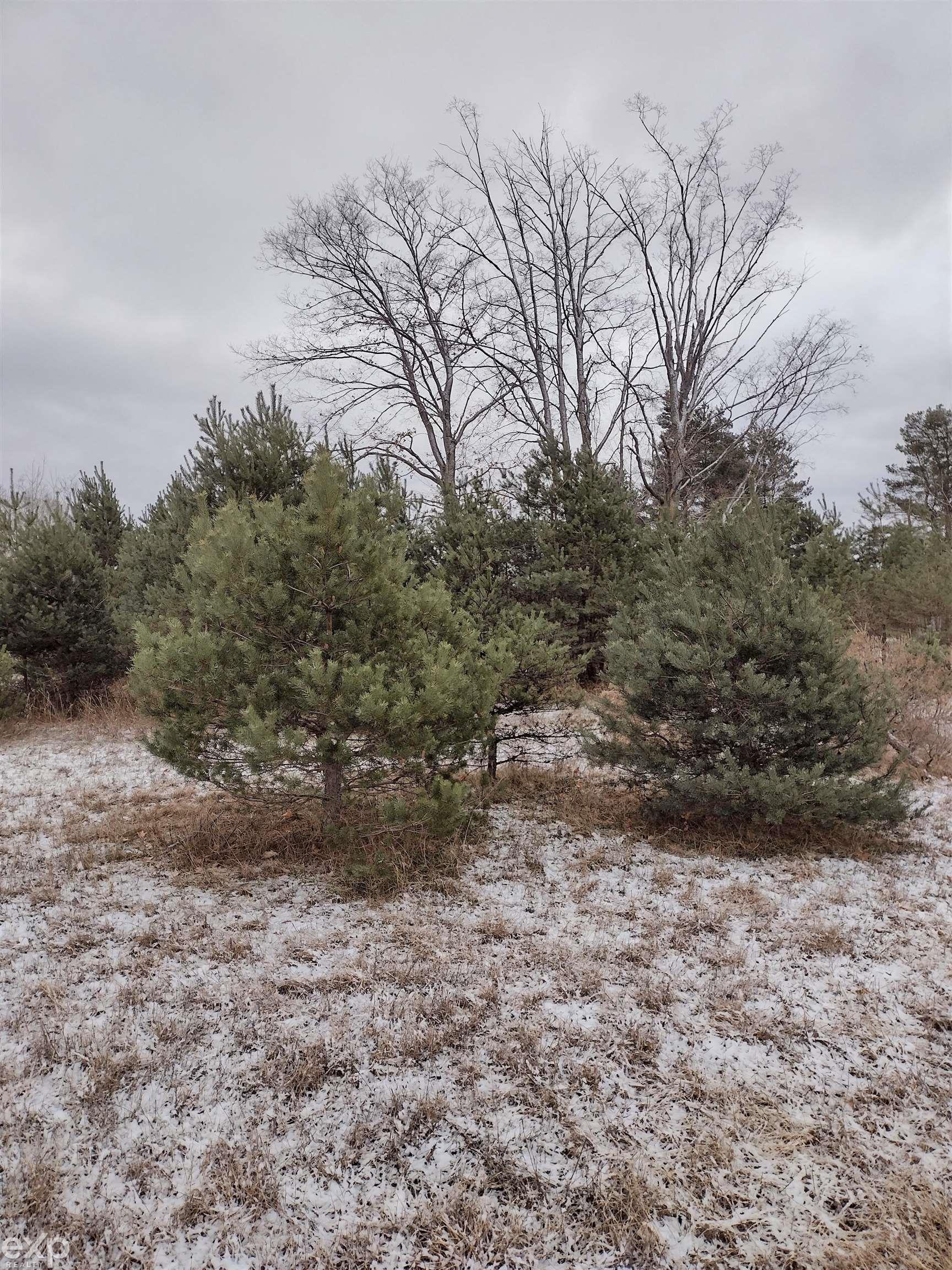 907 South Marshall Road Beulah, MI 49617 - Photo 27 of 29 Gallery Image 27