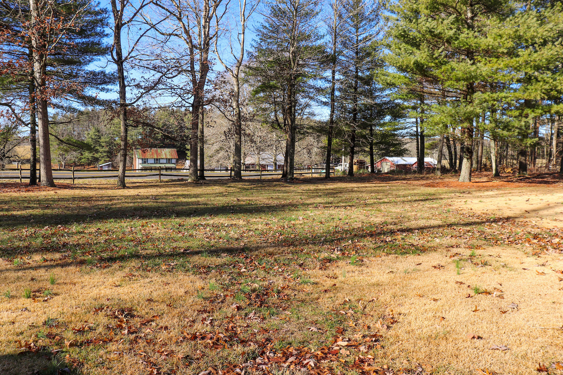 583 Alum Ridge Road Northwest Floyd, VA 24091 - Photo 15 of 22 a view of a yard with a trees