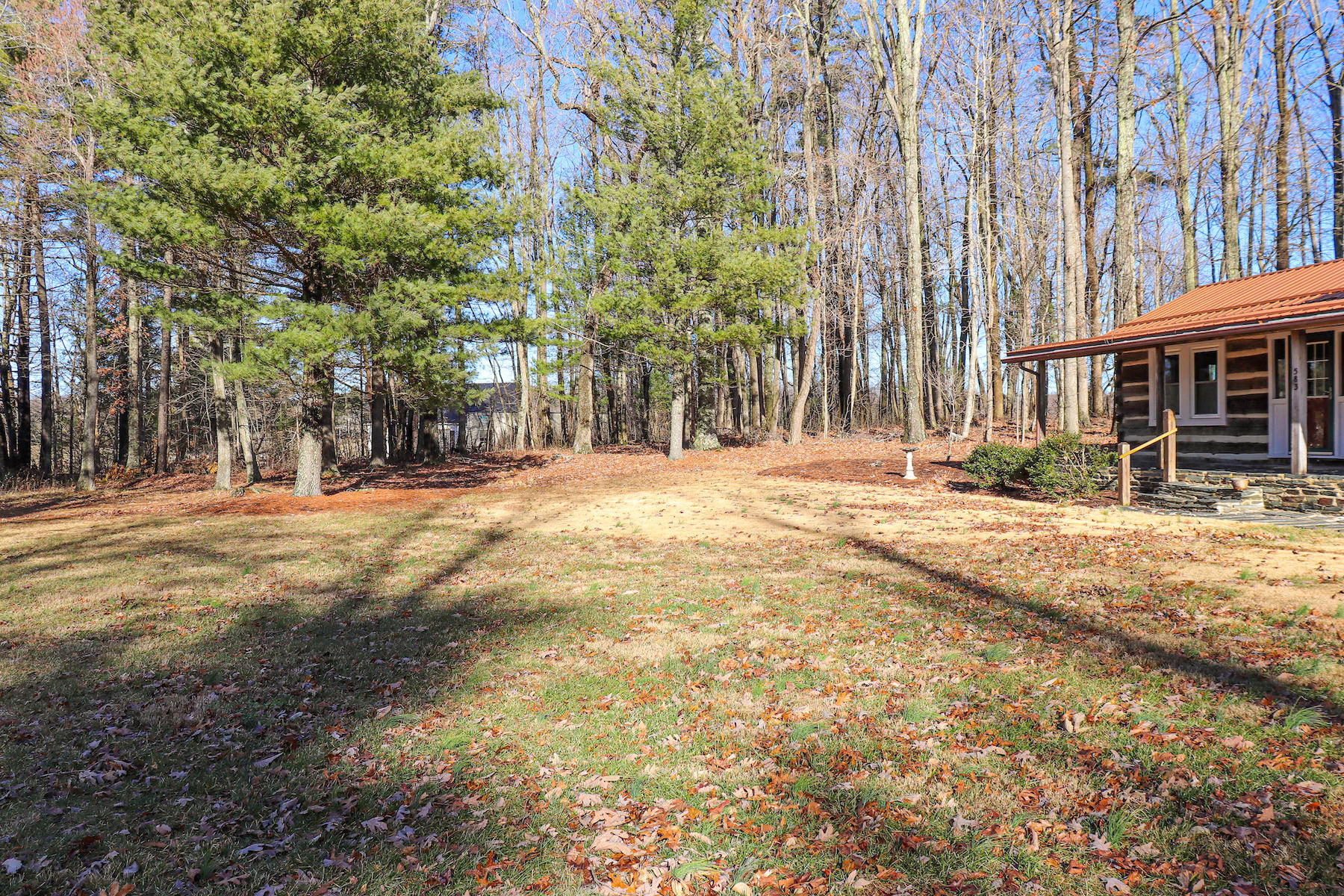 583 Alum Ridge Road Northwest Floyd, VA 24091 - Photo 16 of 22 a row of trees with a house in the background