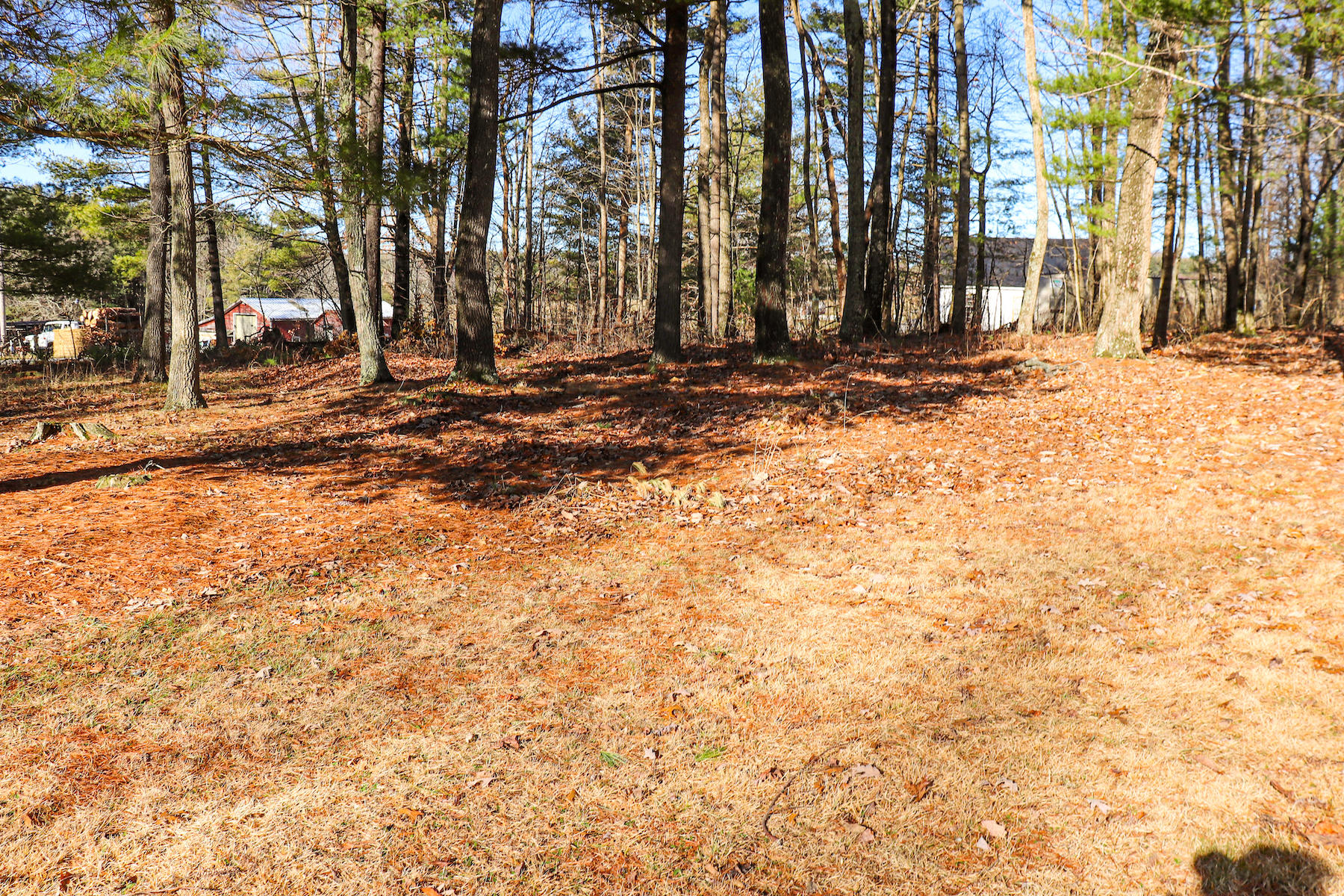 583 Alum Ridge Road Northwest Floyd, VA 24091 - Photo 19 of 22 a view of outdoor space with trees
