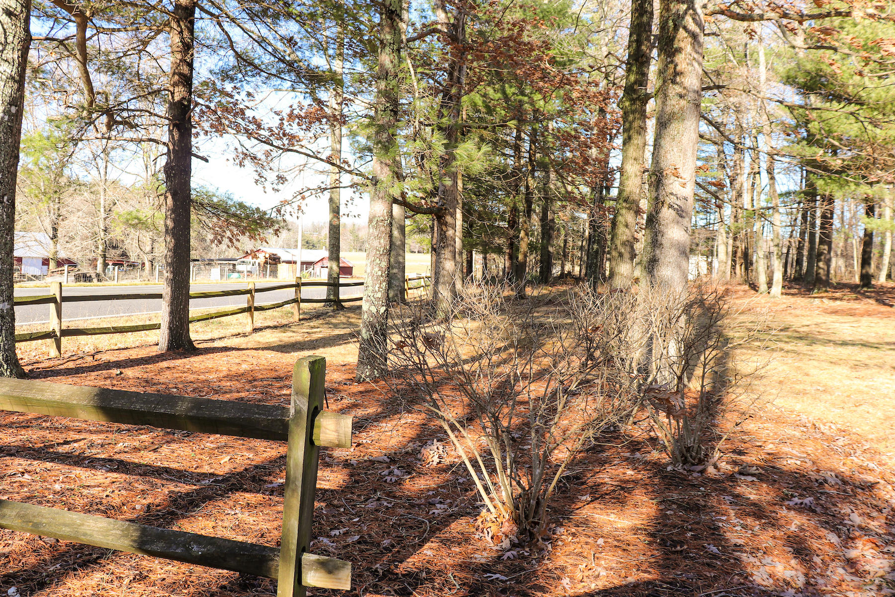 583 Alum Ridge Road Northwest Floyd, VA 24091 - Photo 22 of 22 a view of outdoor space with seating area