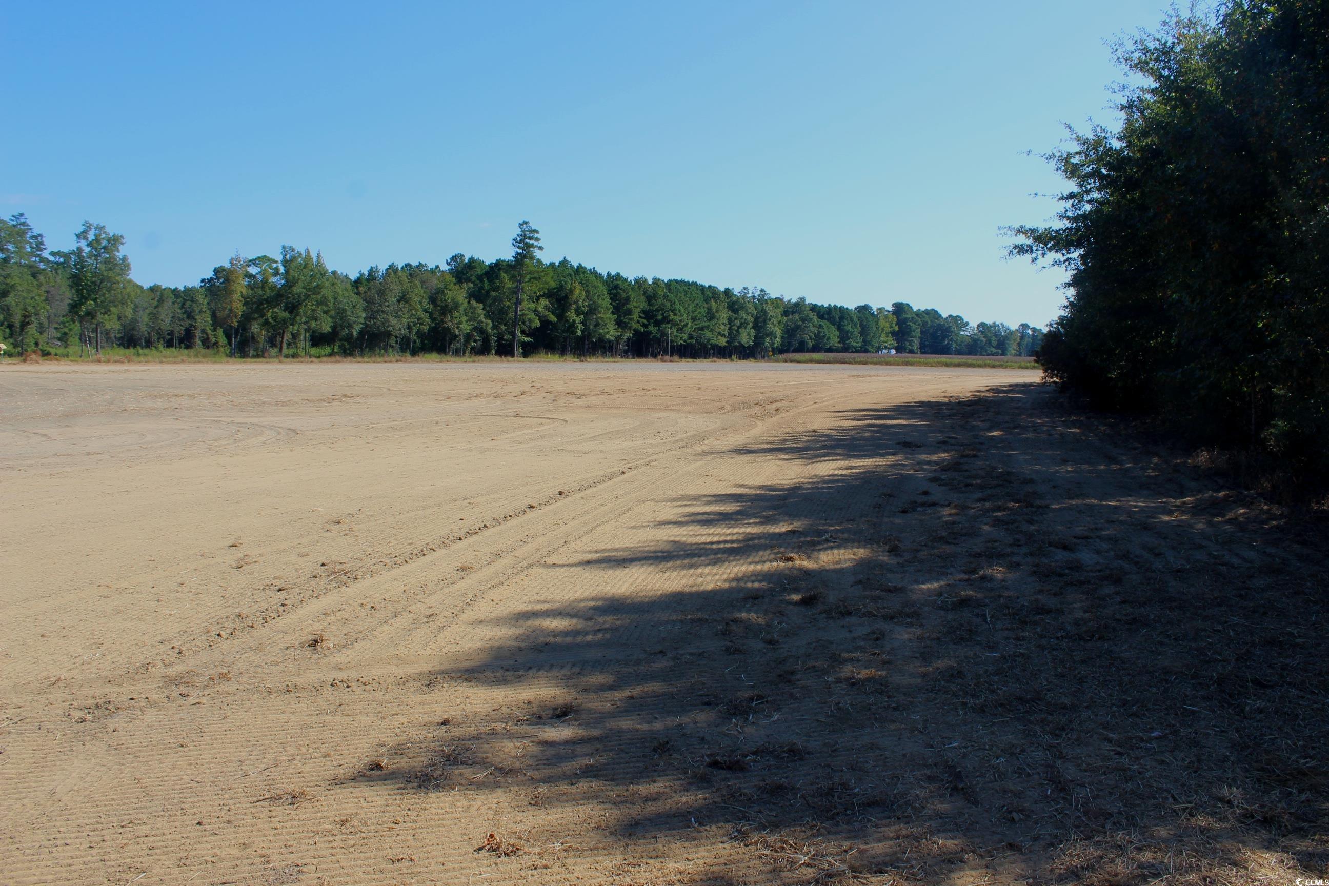 1-tbd Dew Rd 1-tbd Dew Road Marion, SC 29571 - Photo 10 of 29 Gallery Image 10